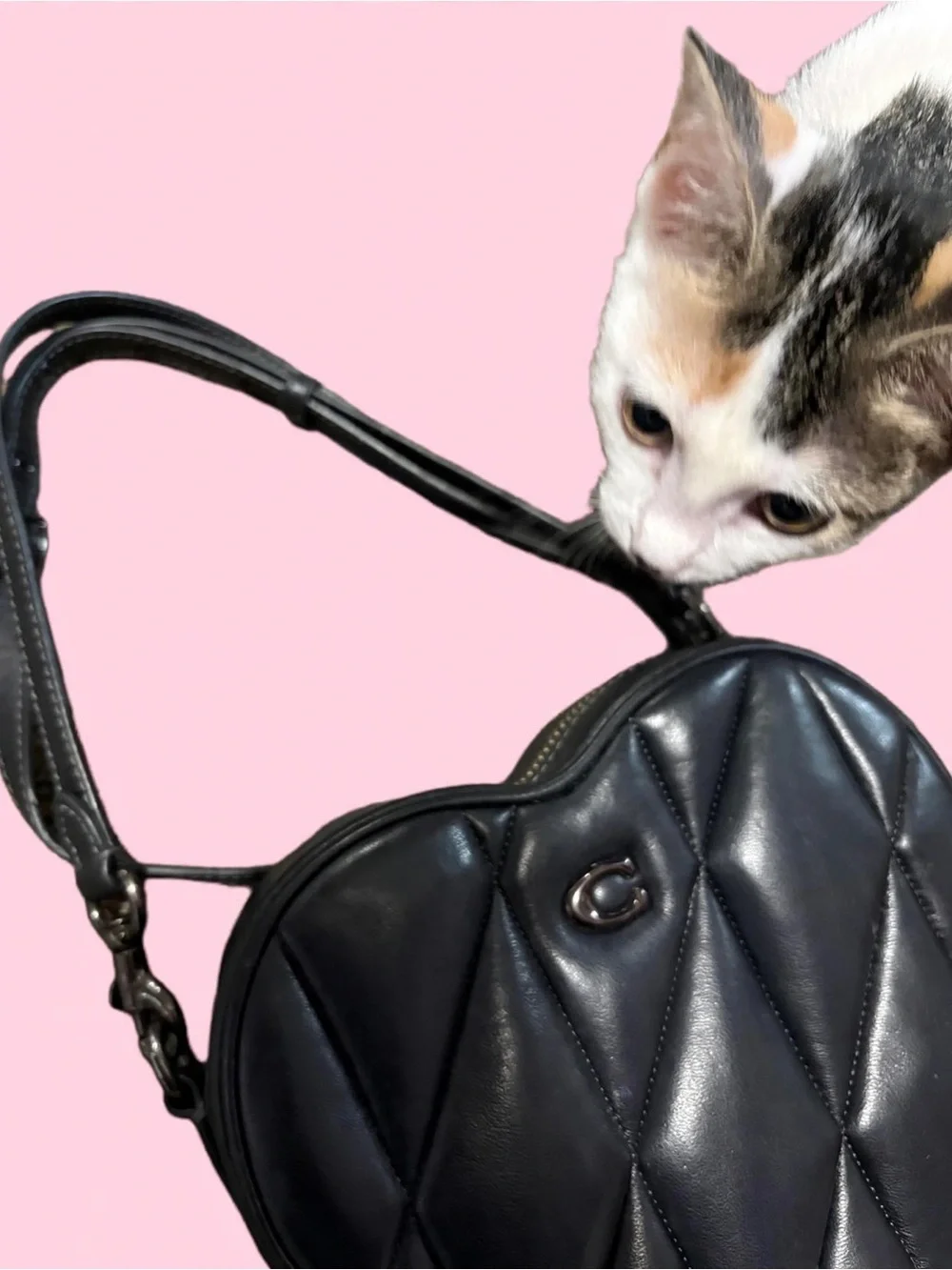 Coach Black Quilted Heart Crossbody Bag